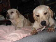 ファイル 1216-3.jpg