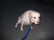 ファイル 1217-3.jpg