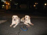 ファイル 1217-4.jpg