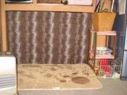 ファイル 1218-3.jpg