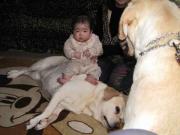 ファイル 1222-4.jpg