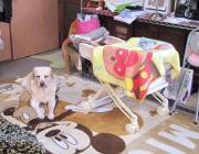 ファイル 1223-1.jpg