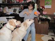 ファイル 1223-4.jpg