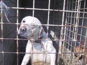 ファイル 1224-2.jpg