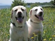 ファイル 1224-3.jpg