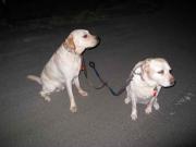 ファイル 1225-2.jpg