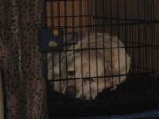 ファイル 1227-4.jpg