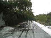 ファイル 1228-1.jpg