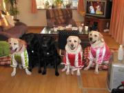 ファイル 1231-3.jpg