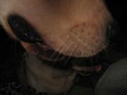 ファイル 1233-3.jpg