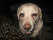 ファイル 1233-4.jpg