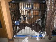 ファイル 1236-2.jpg