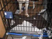 ファイル 1236-3.jpg