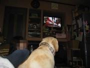 ファイル 1238-1.jpg