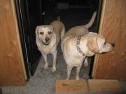 ファイル 1239-2.jpg