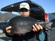 ファイル 1240-2.jpg