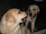 ファイル 1242-1.jpg