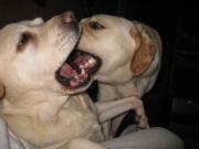 ファイル 1242-2.jpg