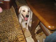 ファイル 1242-5.jpg