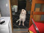 ファイル 1243-1.jpg