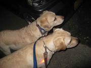 ファイル 1245-3.jpg