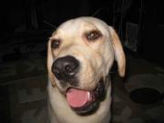 ファイル 1248-3.jpg