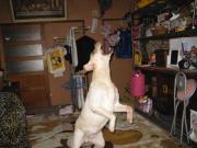 ファイル 1248-4.jpg