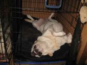 ファイル 1249-1.jpg