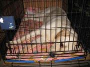 ファイル 1249-2.jpg