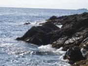 ファイル 1251-1.jpg