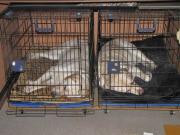 ファイル 1252-1.jpg