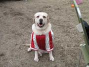 ファイル 1253-2.jpg