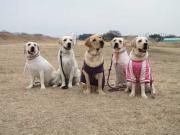 ファイル 1253-3.jpg