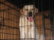 ファイル 1254-2.jpg