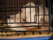 ファイル 1254-5.jpg