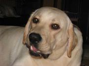 ファイル 1256-4.jpg