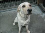 ファイル 1257-1.jpg