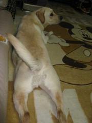 ファイル 1257-3.jpg