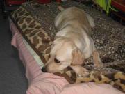 ファイル 1257-5.jpg