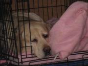 ファイル 1261-2.jpg