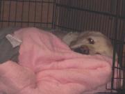 ファイル 1261-3.jpg