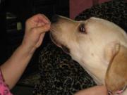 ファイル 1263-4.jpg