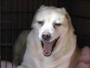 ファイル 1269-1.jpg