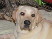 ファイル 1269-2.jpg