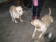 ファイル 1270-2.jpg