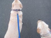 ファイル 1273-1.jpg