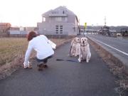 ファイル 1273-2.jpg