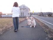 ファイル 1273-3.jpg