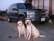 ファイル 1275-1.jpg