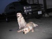 ファイル 1275-2.jpg